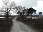 Engbertsdijksvenen